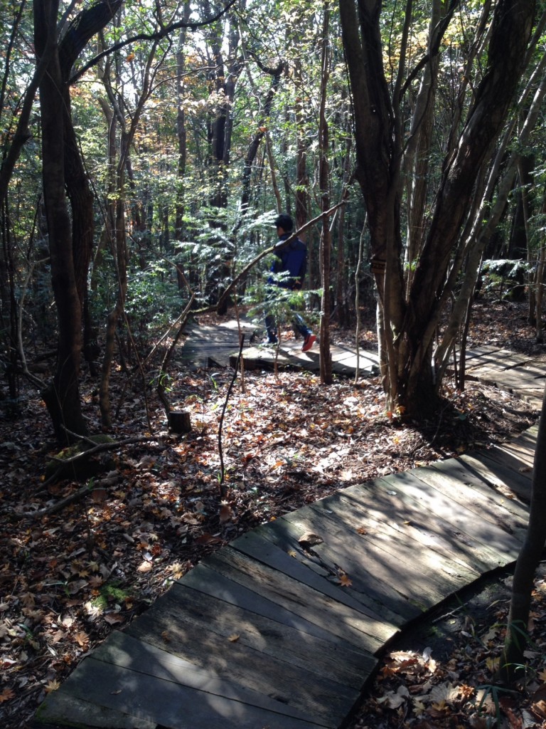 霧島アートの森　作品